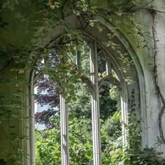 an old building with ivy growing on it's walls and windows in the background