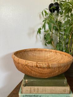 a wicker bowl sitting on top of three books next to a potted plant