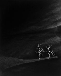 two bare trees in the middle of a black and white photo with light streaks coming from them