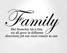 family like branches on a tree we all grow in different directions, yet roots remain as one