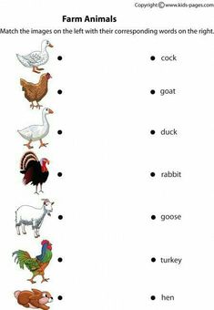 farm animals worksheet for kids to learn how to read and understand their names