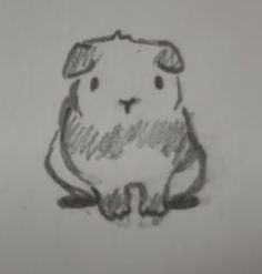 a drawing of a hamster sitting down