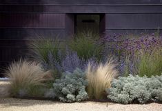 some very pretty flowers and plants in front of a building