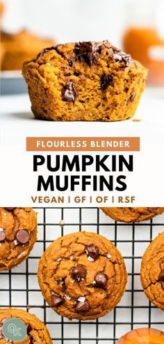 pumpkin muffins on a cooling rack with text overlay that reads, flourless blender pumpkin muffins vegan gf