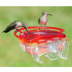 two hummingbirds sitting on top of a bird feeder