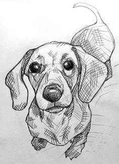 a black and white drawing of a dog