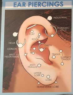 the ear piercings are labeled in several different languages