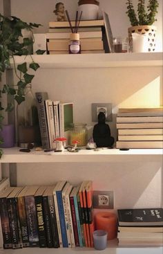 some books are sitting on top of the shelves in front of plants and candle holders