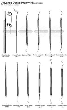 Advance Dental Prophy Kit Veterinary Instruments Medical Tools Shop Prek Science, Dental Hygienist School, Veterinary Instruments, Hygiene School, Dental World