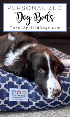 a black and white dog laying on top of a blue pillow with the words personalized dog beds above it