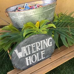 a sign that says watering hole next to some plants and a bucket with candy in it