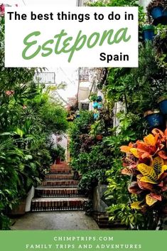 the best things to do in estepona spain