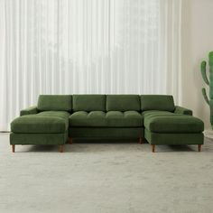 a green sectional sofa in front of a cactus