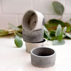 three cement cups sitting on top of a white counter next to green plants and leaves