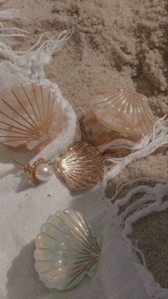 three seashells are laying on the sand