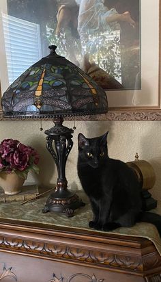 a black cat sitting on top of a table next to a lamp and flower vase