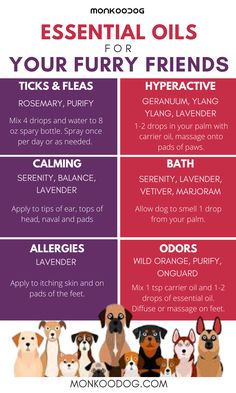 the top 10 essential oils for your furry friend's health and hygiene needs info