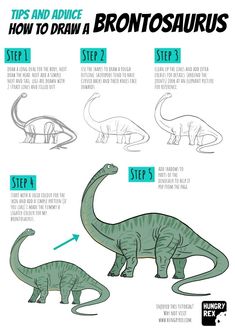 how to draw a brontosauruss step by step instructions for kids and adults