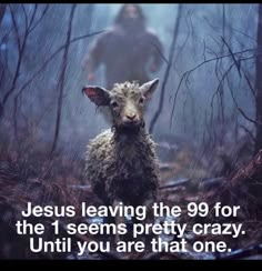 jesus leaving the 99 for the 1 sems pretty crazy until you are that one