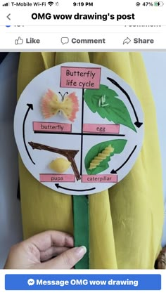 someone is holding up a paper cutout to show the life cycle of a plant