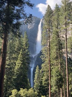 a tall waterfall towering over a forest filled with lots of trees and surrounded by tall pine trees