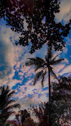 the sky is filled with clouds and palm trees