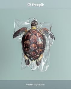 a plastic bag with a turtle inside of it