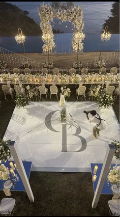 a dog is standing on the ice at an outdoor wedding venue with flowers and chairs