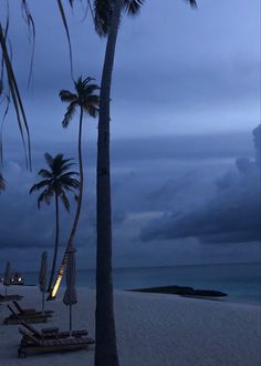 palm trees and lounge chairs on the beach at dusk with storm clouds in the background