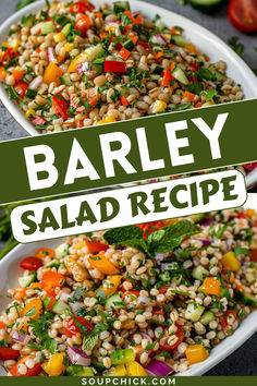 Barley Salad Recipe Hardy Healthy Dinners, Grain Based Salads, Barley Bowl Recipe, Best Potluck Salads, Interesting Salad Recipes, Salad With Grains, Barley Side Dish Recipes, Dense Salad Recipes