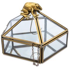 a glass box with a gold frog on it's top and chains hanging from the bottom