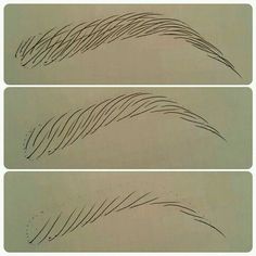 three different stages of hair drawn on paper