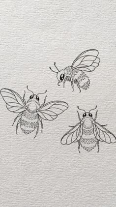 three bees drawn in ink on white paper