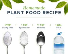 the ingredients for homemade plant food recipe are shown with spoons and leaves on them