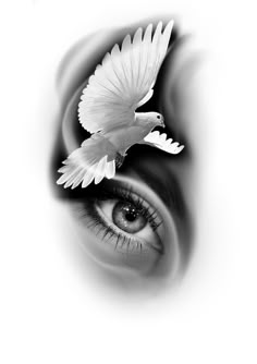 an eye with a white bird flying over it