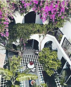 an aerial view of a patio with potted plants and flowers on the floor,