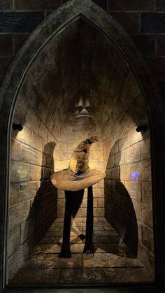 a cat sitting on top of a table in a room with stone walls and arched doorways