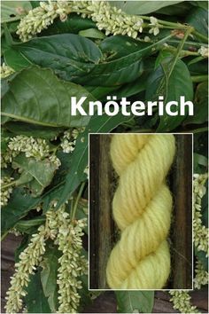 a close up of a skein of yarn on top of green leaves and flowers