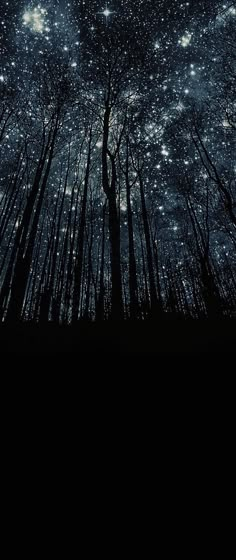 the night sky is filled with stars in the forest, and trees are silhouetted against it