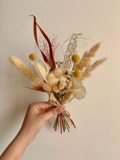 a hand holding a bouquet of dried flowers