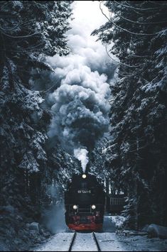 a train traveling through a forest filled with snow covered trees and steam pouring out of the engine