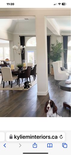 a dog is sitting on the floor in front of a dining room table and chairs