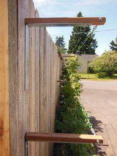 a wooden fence with plants growing on it