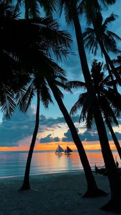 palm trees and boats on the beach at sunset