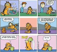 a comic strip with garfield the cat saying it's impossible to get into coffee