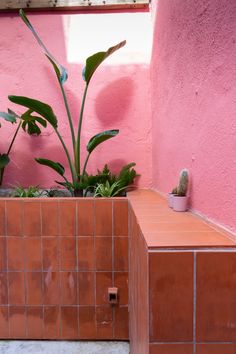 two planters with plants in them on the side of a pink wall next to a bench