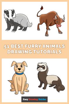 four different types of animals are shown in this graphic style, with the title below it