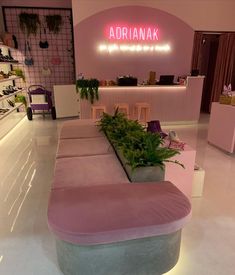 a pink couch sitting inside of a room next to a planter filled with plants