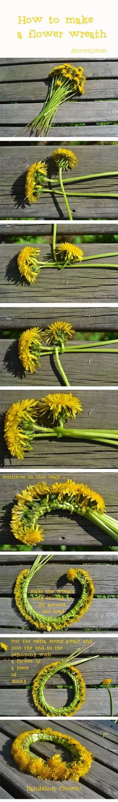 four different images of yellow flowers on the ground