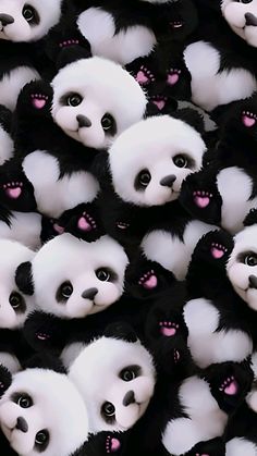 many panda bears with pink noses and black hair